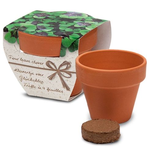 Bloemen in Terracotta potje - Afbeelding 3